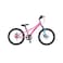 RoyalBaby Chipmunk Explorer Alloy Bicycle Pink 20inch