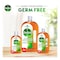 Dettol Anti-Bacterial Antiseptic Disinfectant 750ml