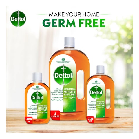 Dettol Anti-Bacterial Antiseptic Disinfectant 750ml