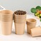 Lavish 16 Oz Kraft Paper Compostable Disposable Cups 1000 Pcs, Hot Or Cold Beverage Drinking
