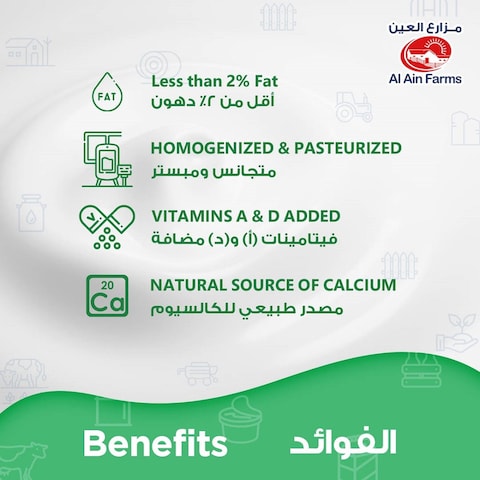 Al Ain Low Fat Fresh Yoghurt 170g