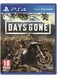 Bend Studio Days Gone (Intl Version) - PlayStation 4 (PS4)