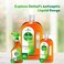 Dettol Antiseptic Antibacterial Disinfectant Liquid, 500ml