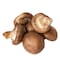 Shiitake Mushroom