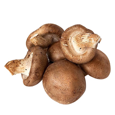 Shiitake Mushroom