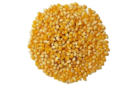 Pop corn