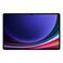 Samsung Galaxy Tab S9 Ultra 12GB RAM 256GB Wi-Fi Grey