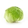 Iceberg Lettuce