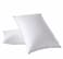 Comfy - standard Pillow-2 White