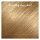 Wella Koleston Permanent Hair Colour Kit Light Ash Blonde 8/1
