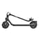 Segway Ninebot E2 Electric KickScooter Black And Grey