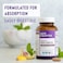 New Chapter Iron Supplement Fermented Iron Complex With Organic Whole-Food Ingredients + One Daily Non-Constipating Dose- 60 Count (Pack Of 1), 2 Month Supply