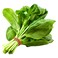 Biomass Organic Mini Spinach Per Kg