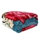 STARGOLD Blanket Single Ply Super Soft Luxury Cloudy Blanket Two Side Different Design 220*240CM 2.4KG, SG-BLC602