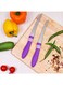 Delcasa 2-Piece Stainless Steel Steak Knife Set Silver/Purple/White 2x8cm
