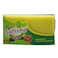 SAFISHA SCRUBBING SPONGE X1