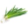 Premium Spring Onion 200g