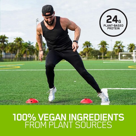 Optimum Nutrition (On) Gold Standard 100% Plant Based Protein Powder, Vitamin C For Immune Support - Chocolate, 1.59 Lbs