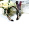 Aiwanto Hair Band Multicolored Head Band Braided Hair Band Elegant Fashion Hair Accessories For Girls Womens