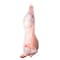 LAMB WHOLE CARCASS CHILLED-EGYPT