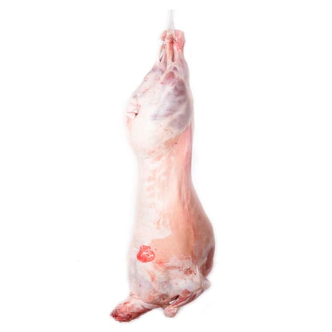 LAMB WHOLE CARCASS CHILLED-EGYPT