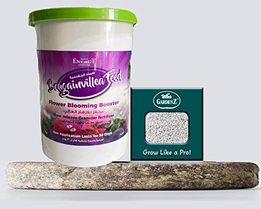 Buy Agriculture Fertilizer Bougainvillea Feed Fertilizer 1 Kg ...