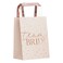 Ginger Ray Blush Hen Team Bride Foiled Party Bags- Rose Gold