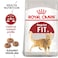 Feline Health Nutrition Fit 32 - 2 KG