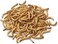 Egardenkart Dried Mealworms, Meal worms High-Protein Treats for Birds, Chickens, Turtles, Fish, Hamsters and Hedgehogs All Natural Animal Feed (100g)