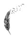 Spoil Your Wall Feather Design Wall Sticker Grey 90x50cm