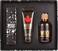 Dsquared2 Wood Pour Homme Eau De Toilette 100ml Gift Set