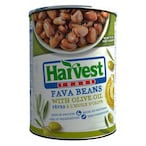 Buy Harvest Foods Fava Beans With Olive Oil - 400 Gram in Egypt