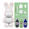 DIY MONEY SAVING BUNNY (9 inch - 23 cm) ACRYLIC FLOW POURING PAINT SET RABBIT Colors, Black, Mint-Green, Dark-Blue. Arts and Crafts, Customize Handmade Creative Birthday Gift.