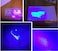 Other Uv Flashlight Black Light, 51 Led Flashlights, Blacklight Detector Torch Lighting For Dog Cat Pet Urine Detector Stain Bed Bug Scorpion Detection