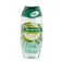 PALMOLIVE SG NATUR PAndDELCOCO 250ML