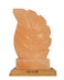 Geohoney Himalayan Salt Lamp - Feather