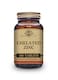 Solgar Chelated Zinc Tablets - Pack Of 100