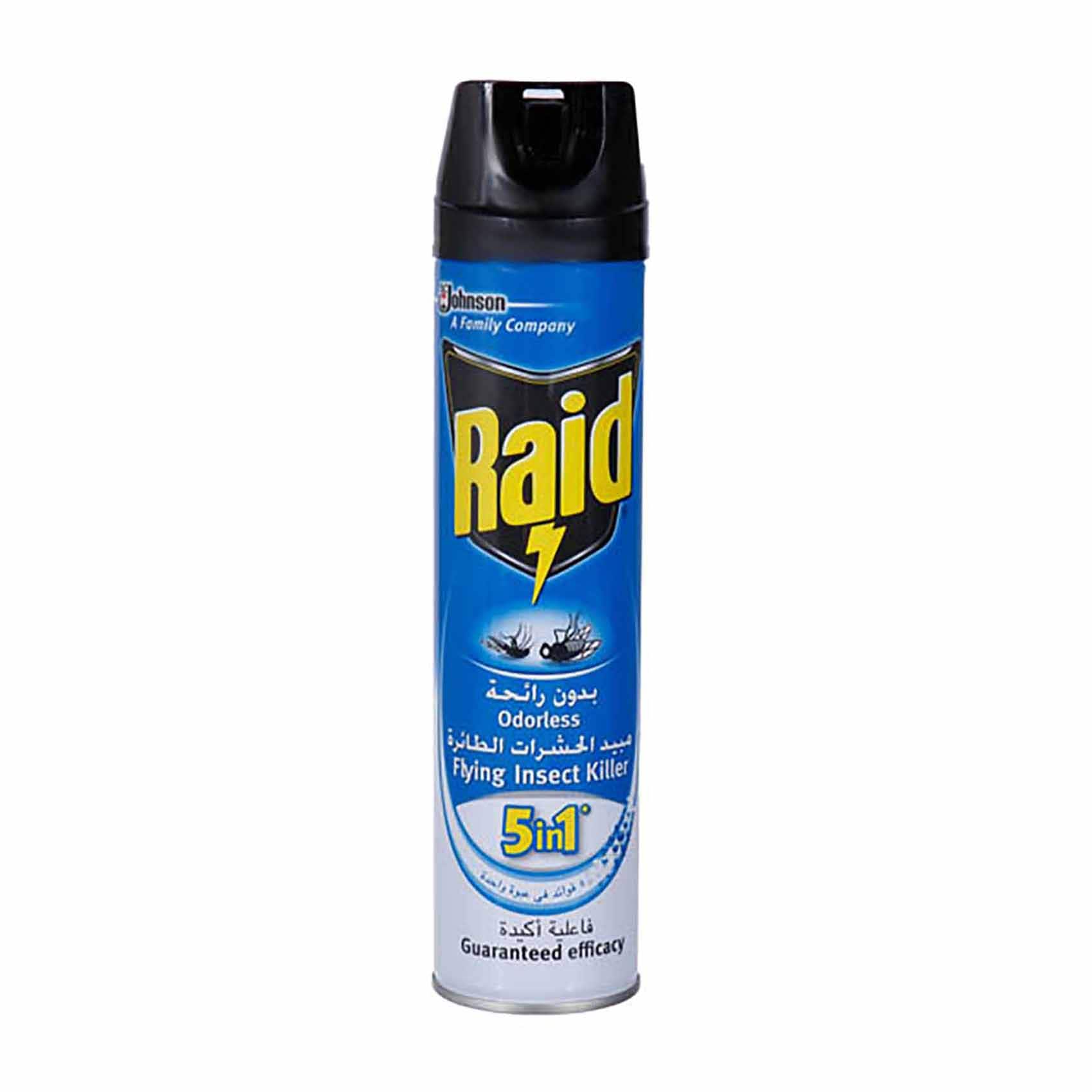 Buy Raid Flying Insect Killer Odorless Spray - 400ml Online | Carrefour ...