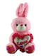 Child Toy Non-Toxic Stuffed And Plush Soft Bunny Rabbit