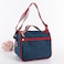 Thermal Ice Cooler Lunch Bag Blue 20x16.5x20centimeter