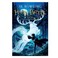 Harry Potter And The Prisoner