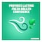 Listerine, Fresh Burst, Daily Mouthwash, Antibacterial Protection 250ml