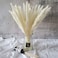 45cm Natural Dried Pampas Grass 30 Pcs for Flower Arrangements Home Decor (White)