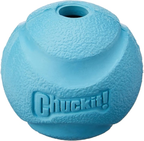 CHUCKIT! FETCH BALL 1-PK LARGE