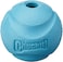 CHUCKIT! FETCH BALL 1-PK LARGE