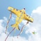 Maxi Plane Kite