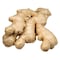 Ginger Local 500G