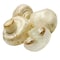 Mushroom Import Button 250 Gr