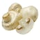 Mushroom Import Button 250 Gr