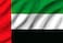  UAE National Flag Small